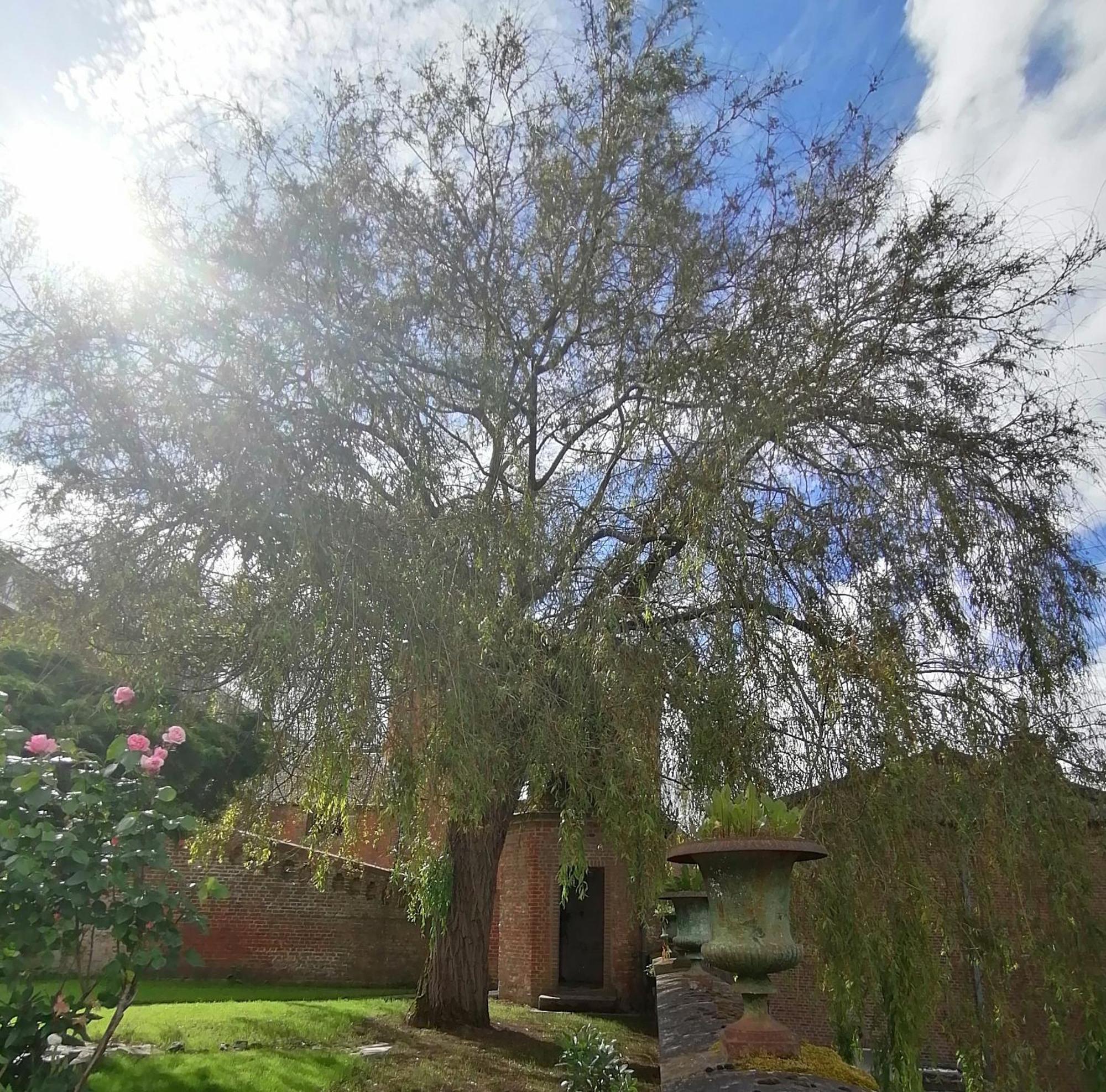 Avesnes-sur-Helpe Le Relais Napoleon B&B 외부 사진
